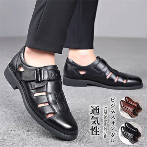 yr[T 20OFFzrWlXT_ Y T_ ItBXT_ hCrOV[Y RtH[gT_ ʋC  Ȃ Ȃ hCrO JWA E