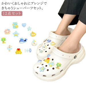 yr[T 20OFFzV[p[c 12_Zbg CANZT[ T{  V[YANZT[  L n[g fB[X V[p[c C   킢 