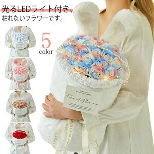 yr[T 20OFFz\[vt[ t[ v[g ԑ \[v ̓ Cgt t[\[v ̓Mtg u[P LED   ỏԑ  t[  o v