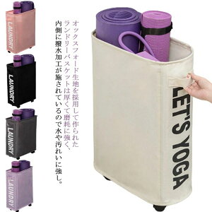 yr[T 20OFFz󕨓  hX X^Cv JS [obO S ܂肽 󂩂 LX^[t h[oXPbg ܂肽ݎ h n e