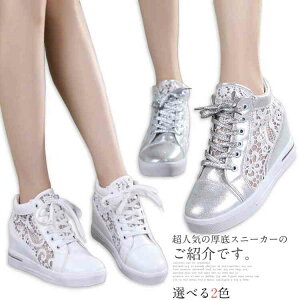 yr[T 20OFFzXj[J[ fB[X V[NbgV[Y ^C 傫TCY [XAbv JWA ʋCQ bV [Jbg nCq[ gAbv ₷