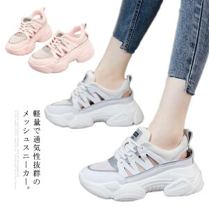 yr[T 20OFFzXj[J[T_ Xj[J[ Xj[J[ fB[X  5cm  bV JWA r t C V[Y X|[c jO y