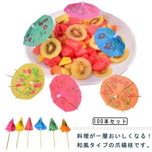 JNesbN ~jP P JNep t[csbN 100 JNefR[V a P[L ܗk} P^ Ɩp iX  p p[eB[ Xg