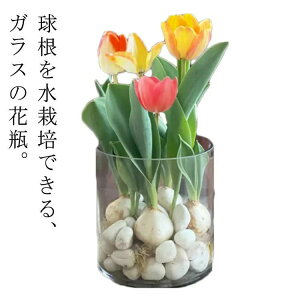 i`  t[x[X KX KX G t[|bg KX t[Mtg Ɏq  Ԋ  ԕr /͔| K[fjO `[bv qVX  X