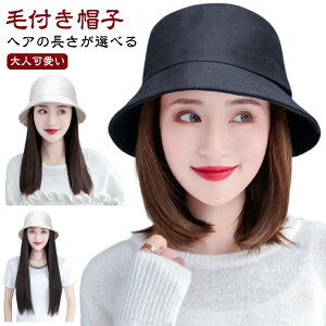 ѕtXq EBbO t Xq nbg {u tXq EBbOtXq t  H ~ EBbOt oPbgnbg R  fB[X  ×pXq XqtEBbO V[g 