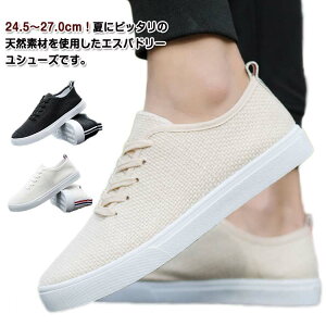 yr[T 20OFFzY V[Y LoXC Xb| lV[Y Xj[J[ T}[V[Y T_  lV[Y Xj[J[ [t@[ T}[V[Y ʋC 