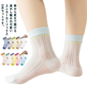 q C 5Zbg V[g\bNX  \bNX LbY ̎q bV  ؍q ҂݃Xj[J[\bNX   ʋC t z Lk V[g\bNX 