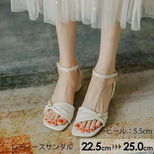 T_ RtH[gT_ fB[X 傫TCY ₷ Xgbv q[5.5cm  Sn悢 r TCY C  l x[W C r[` Ƃ 