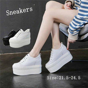 Xj[J[  10.5Z`q[ ҂ݏグ [XAbv nC\[ Cq[ fB[X   ubN zCg g w g [Jbg C V[Y TCY 21.5/22.0/22.5/23.0/