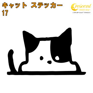 Lbg XebJ[ 17y5TCY S26Fzy˂ lR L  CAT gCo ^gD[ B 킢  L[g V[ fJ[ X}z  oCN wbgz