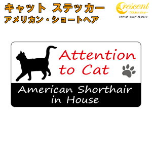 AJEV[gwA C nEX XebJ[ yL cat in house Lbg V[ h american shorthairzyύXz