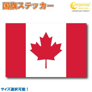 Ji_ XebJ[ S5TCY ycanada X|[c TbJ[  oCN ] wbg  z