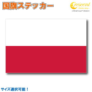 |[h XebJ[ S5TCY yX|[c TbJ[ poland  oCN ] wbg  z