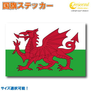 EF[Y XebJ[ S5TCY ywales X|[c Or[  oCN ] wbg  z