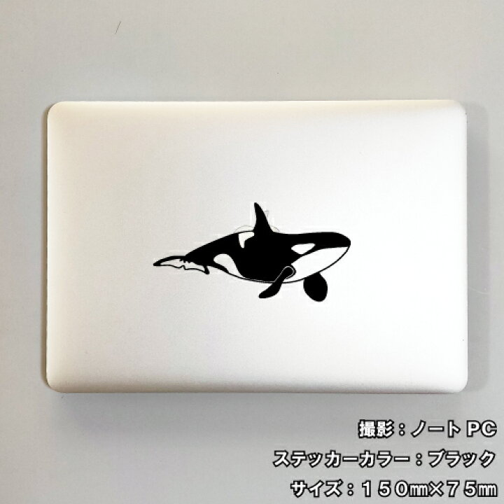 シャチ タトゥーシール 感謝価格