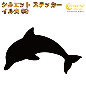 CJ XebJ[ 09y5TCY S26FzyhtB dolphin C  T}[ gCo ^gD[ ꂢ LC L[ 킢 V[ fJ[ X}z  oCN wbgz