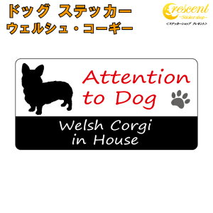EFVER[M[ C nEX XebJ[ y dog in house hbO V[ h welsh corgizyύXz