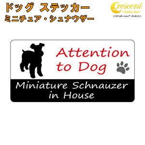 ~j`AEViEU[ C nEX XebJ[ y dog in house hbO V[ h miniature schnauzer zyύXz