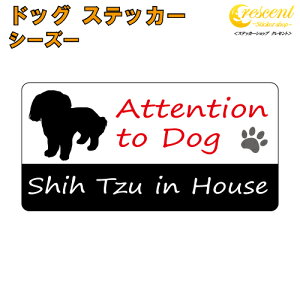 V[Y[ C nEX XebJ[ y dog in house hbO V[ h shih tzuzyύXz