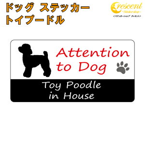 gCv[h C nEX XebJ[ y dog in house hbO V[ h toy poodlezyύXz