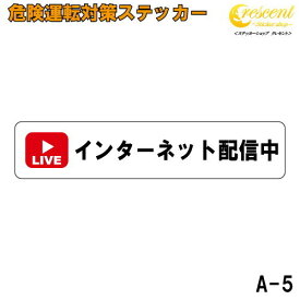 追突防止 危険運転 対策 ステッカー ドライブレコーダー A-5 インターネット配信 妨害運転 煽り 録画中 記録中 rec シール デカール