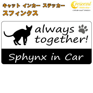 XtBNX sphynx in Car XebJ[ vg^Cv yCat in Car Lbg CJ[ L V[ fJ[zyύXz