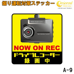 Ǔ˖h~ 댯^] ΍ XebJ[ hCuR[_[ A-9 WQ^]  O ^撆 L^ rec V[ fJ[