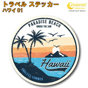 gx XebJ[ nC 01yAn r[` hawaii aloha s X[cP[X V[ fJ[z