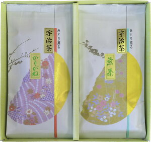 y|Cg10{zFli`j/F/ //傪ij/{/̗t/~/Mtg///Ε/lߍ킹/hV̓/Ԃ/Au/ /e{ /