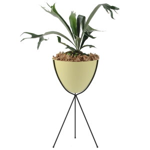 �yHip Haven�z�y���������z Retro Bullet Planter Tall�y���g���r�����b�g�v�����^�[ �O���X�t�@�C�o�[���v�����^�[ Made in USA�z