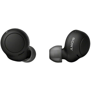 �\�j�[(SONY) ���S���C�����X�C���z�� WF-C500 : �y�ʏ��^5.4g �����x�ʘb�i�� �ȒP�y�A�����O IPX4�h�H���\ �u���b�N WF-C500 BZ