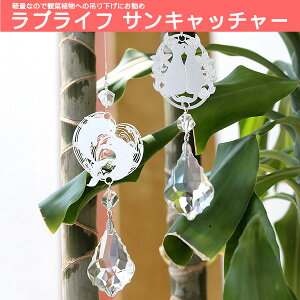 y[ zϗtAԂɒ݂艺OKI@TLb`[@LOVE LIFEuCt@NX^///CeA/ہys/iƓsz