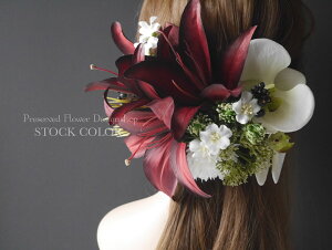 SƌӒ̔(CbhjwbhhX/wAANZT[yl⌋Ɂz