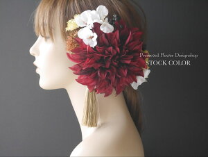 U_A̔(_[NbhjwbhhX/wAANZT[yl⌋Ɂz