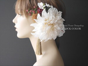 U_A̔(ItzCgjwbhhX/wAANZT[yl⌋Ɂz