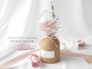 J[l[ṼRN{gvU[uht[ ̓