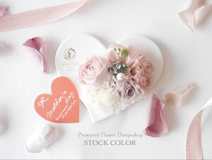 J[l[Vƃ[Ỹn[gv[gvU[uht[ ̓