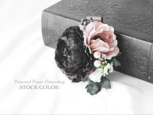 RT[WiLXyNo.023zƎEwEZj[P[Xt