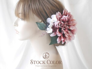 _Aƃ~jӒ̃wbhhX/wAANZT[ElEEFfBOhX