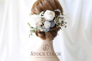 AeB[N[ỸwbhhX/wAANZT[(zCgjElEEFfBOhX