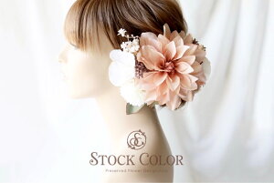 _AƌӒ̃wbhhX wAANZT[ isNR[j  EFfBO  l a 