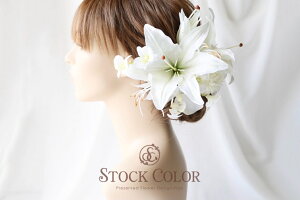 JTuJƌӒ̃wbhhX wAANZT[ izCg Full-setj  EFfBO  l a 