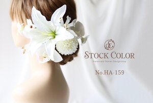 JTuJƌӒ̃wbhhX wAANZT[ izCg Half-setj  EFfBO  l a 