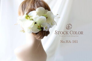 Ӓƃs|}̔izCgO[jwbhhX wAANZT[ 