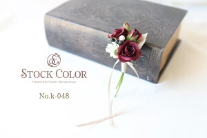 RT[W~j[YyNo.048zƎEwEZj[P[Xt