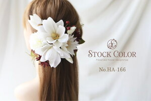 NƃZÃwbhhX wAANZT[   EFfBO  l a 