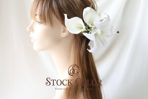 ƃJ[B̃wbhhX/wAANZT[(Half-set)ElEEFfBOhX