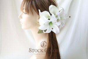 ƃJ[B̃wbhhX/wAANZT[(Full-set)ElEEFfBOhX