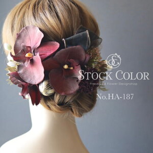 ӒƃI[KW[{̃wbhhX/wAANZT[(o[KfBbh)ElEEFfBOhX