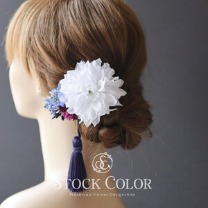 _Aƃ}̃wbhhX wAANZT[ 聖 a   l EFfBOhX